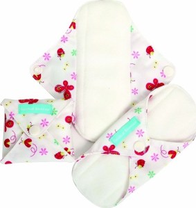 Absorventes higiênicos reutilizáveis